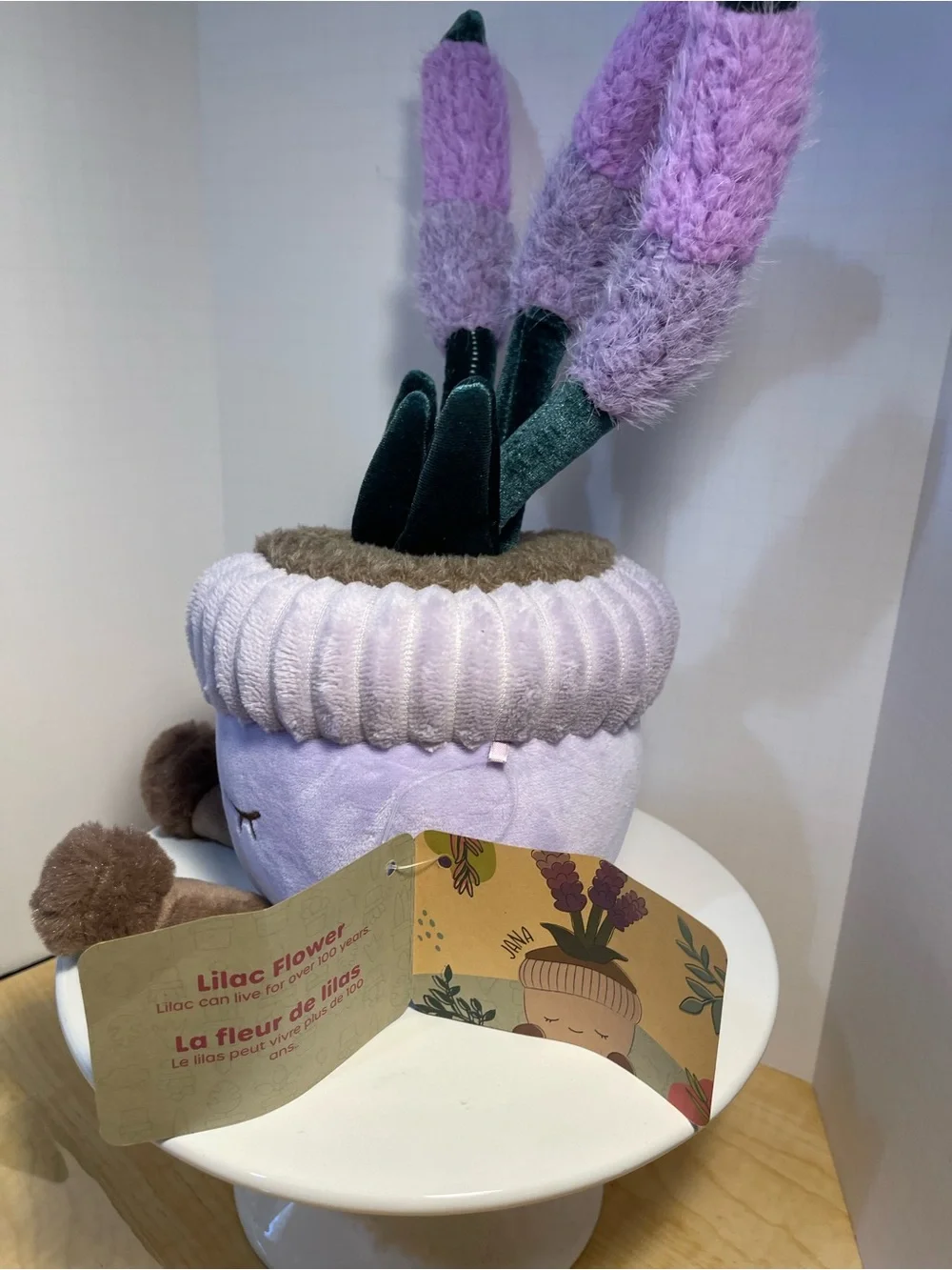 Greenhouse by Russ 12-Inch Purple Pot Lilac/Jana - NWT **